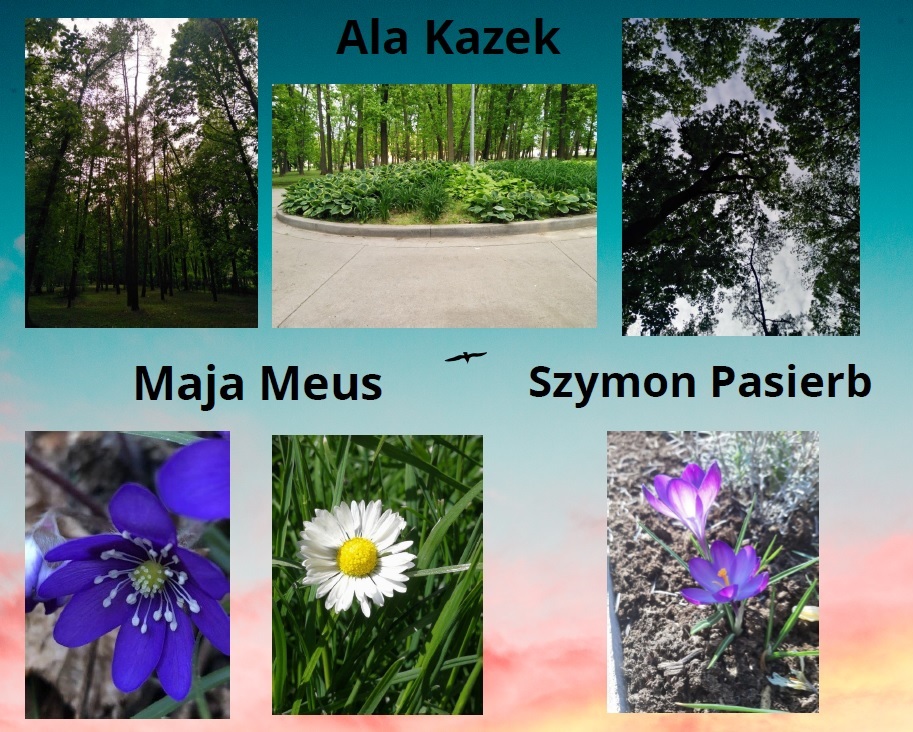 wiosna wokół nas 1