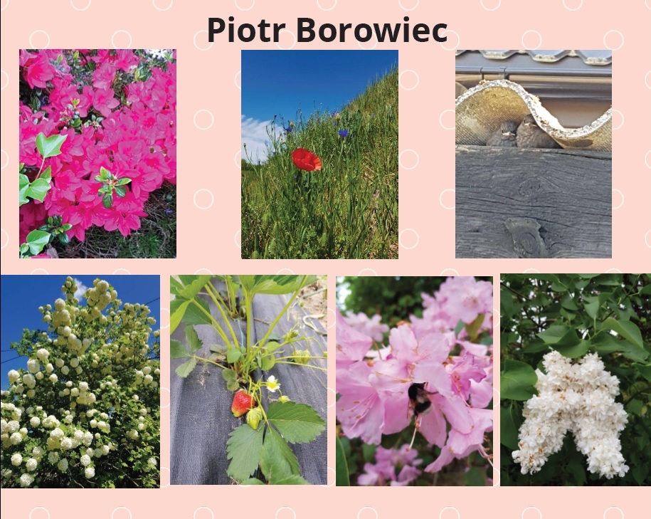 wiosna wokół nas 2