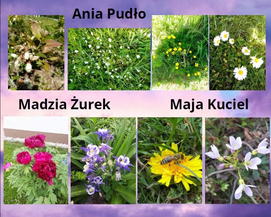 wiosna wokół nas 3