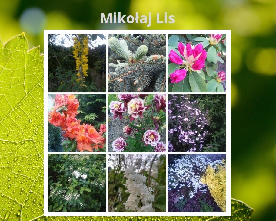 wiosna wokół nas 4