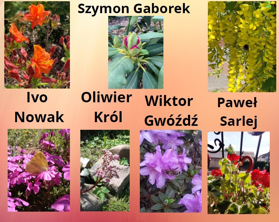 wiosna wokół nas 5