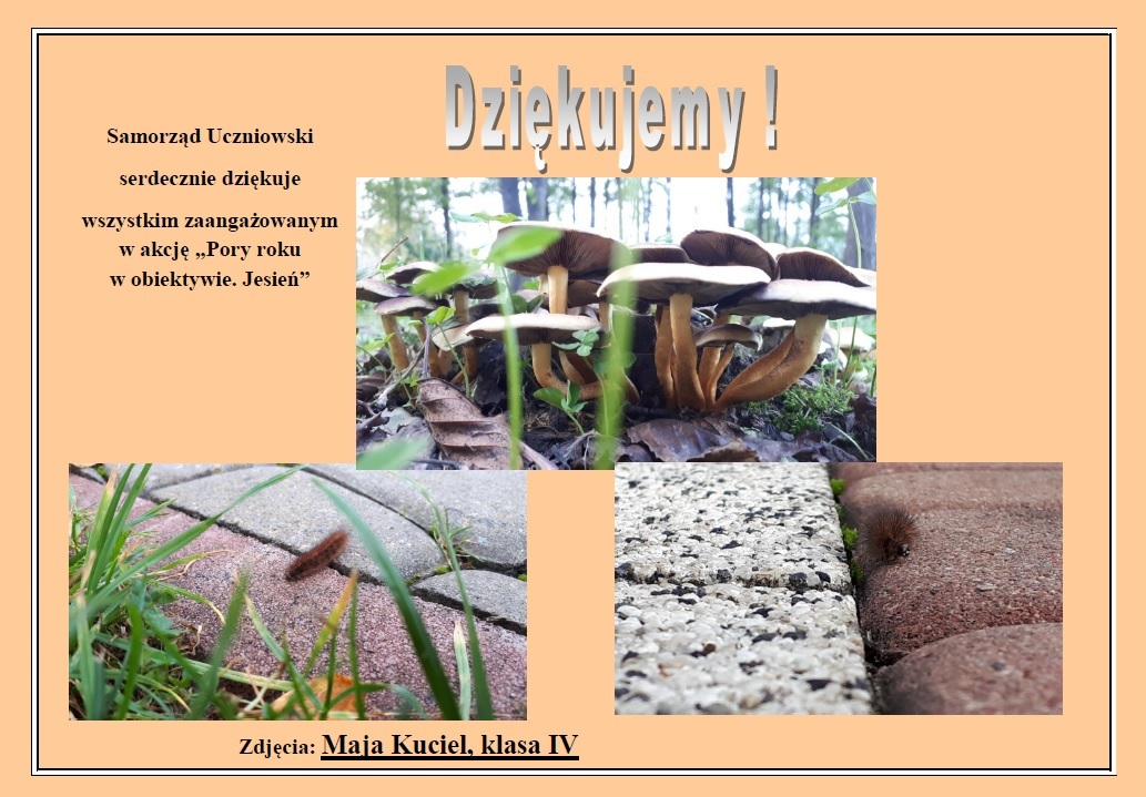 podziękowania dla samorządu uczniowskiego