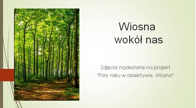 wiosna wokół nas